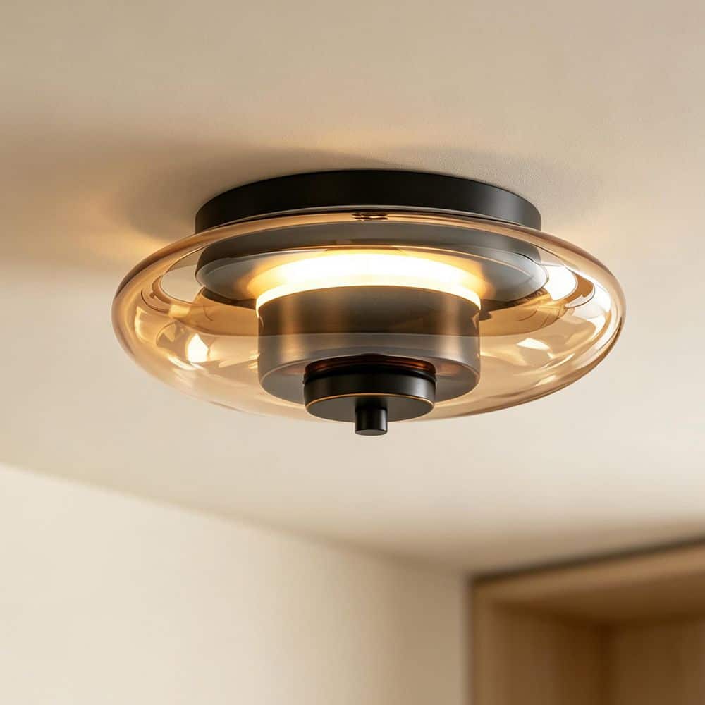 Rennnsan 8.7 in. Modern LED Round Matte Black Clear Rolled Glass Shade