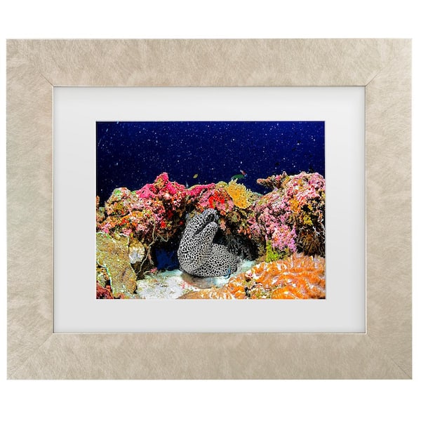 Trademark Fine Art Roberto Marchegiani Under The Star Matted Framed Photography Wall Art 14.5 in. x 17.5 in.