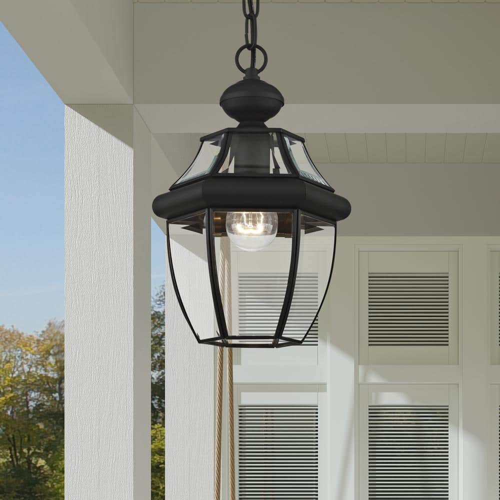 Black Glass 1-Light Indoor/Outdoor Pendant Lantern