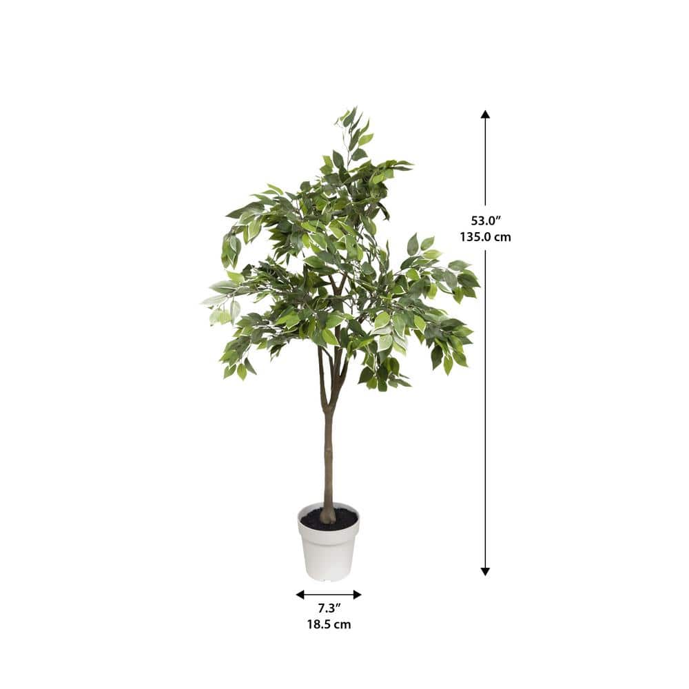 Algreen Ficus Tree