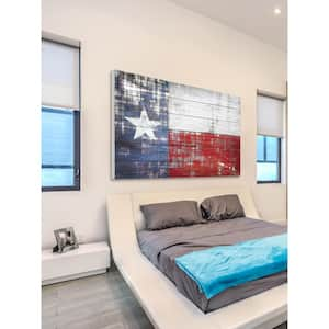 12 in. H x 18 in. W "Texas" by Parvez Taj Printed White Wood Wall Art