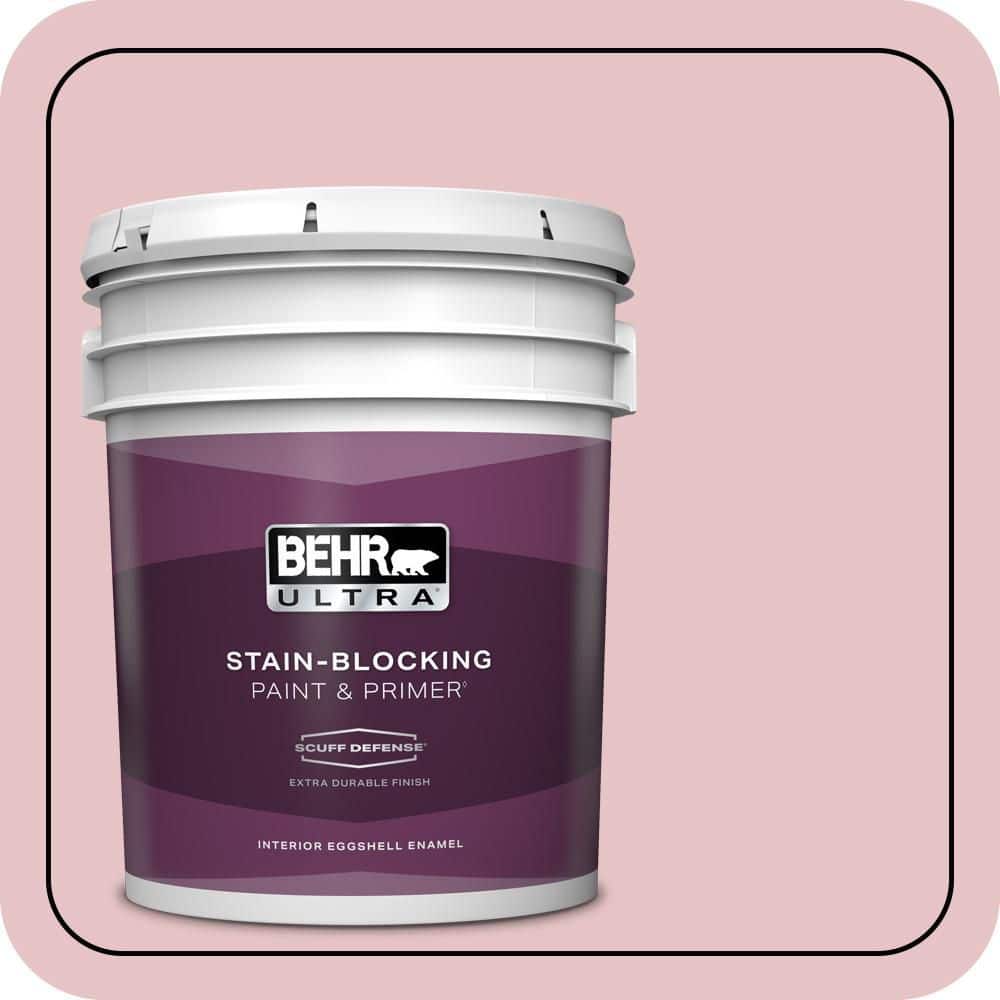 5 gal. #S140-2 Cranapple Cream Extra Durable Eggshell Enamel Interior Paint & Primer price history on PriceWatchPro