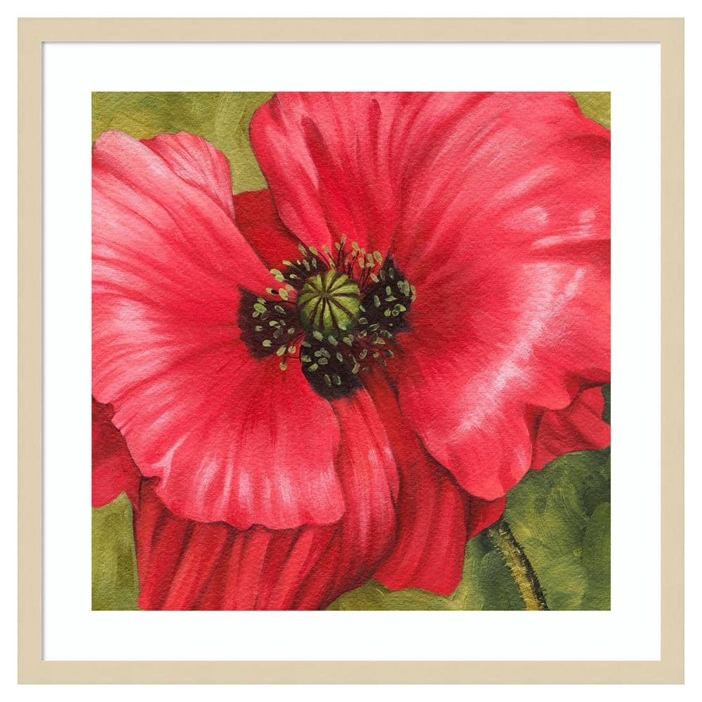 Vivid Poppy II Red and Green Framed Graphic Art Print