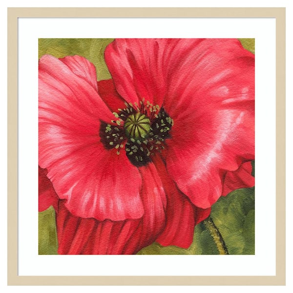 Amanti Art Vivid Poppy II by Grace Popp 25 in. W x 25 in. H. Wood Framed Wall Art Print Framed in Brown