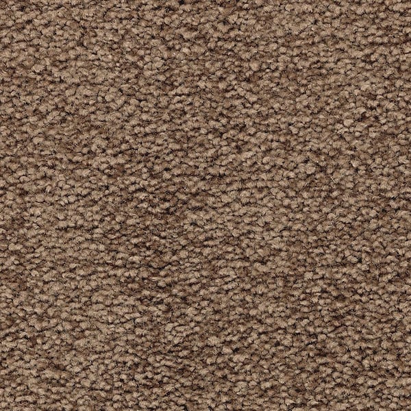 Lifeproof Unblemished I  - Fortress - Brown 45 oz. Triexta Texture Installed Carpet
