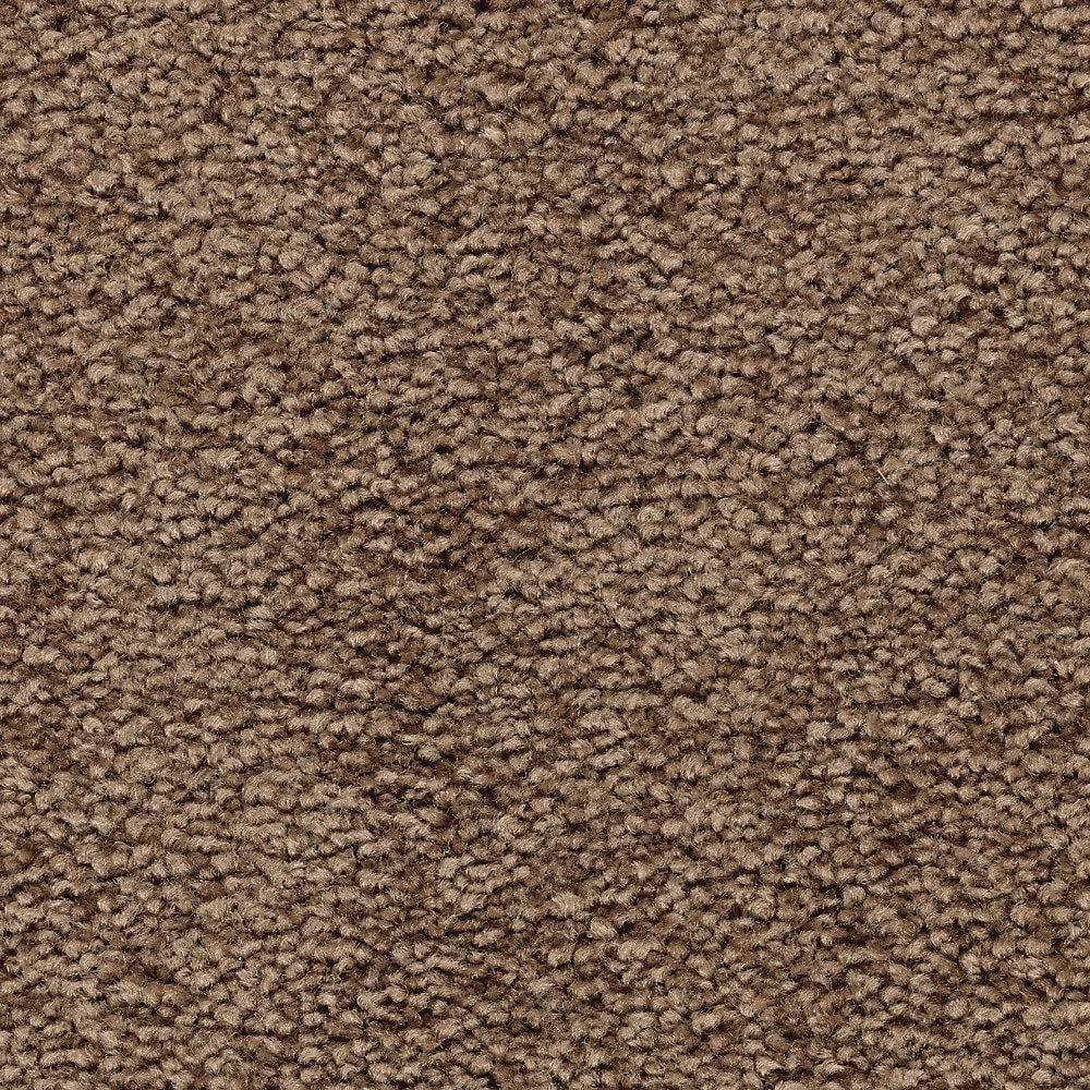 8 in. x 8 in. Texture Carpet Sample - Unblemished II -Color Malted price history on PriceWatchPro