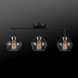 Harrow 2.07 ft. 3-Lights Matte Black Fixed Track Lighting Kit with Brass Accents and Clear Glass Shades, Bulbs Included