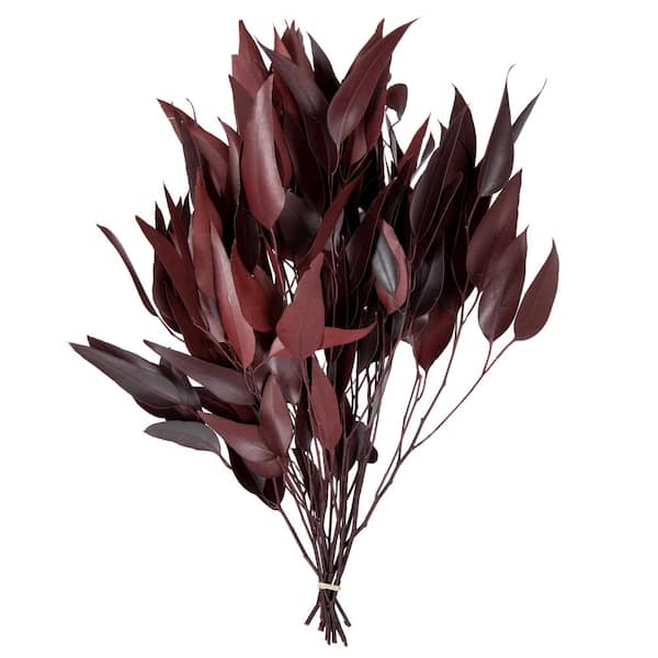 Vickerman 18 in. Red Preserved Weeping Willow Eucalyptus Stem Foliage, 5 oz. Bundle