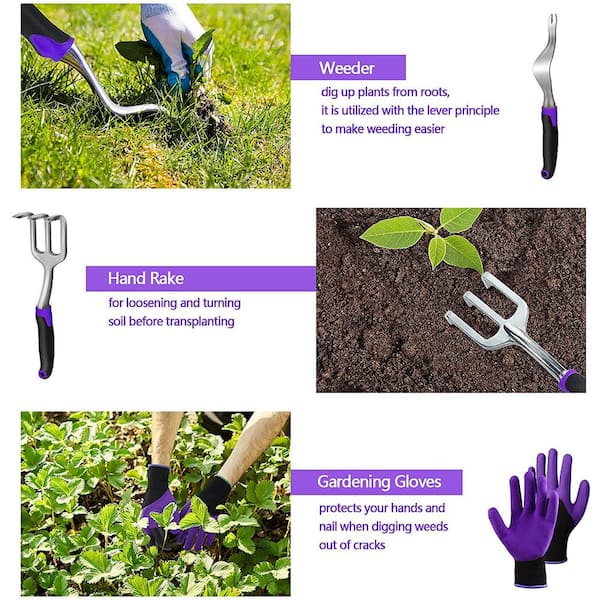 https://images.thdstatic.com/productImages/c80f4c45-48ef-4383-af4c-224b64b61486/svn/purple-garden-tool-sets-b096873xlh-1f_600.jpg