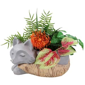 Sunnydaze 8 in. Indoor Ceramic Planter Statue Finley The Fox