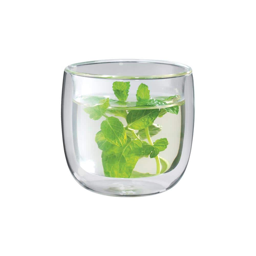 Clear Double-Wall Glass Tea Cups Set of 2