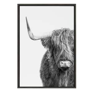 BandW highland Cow No. 1 by Amy Peterson Framed Animal Canvas Wall Art Print 33.00 in. x 23.00 in.