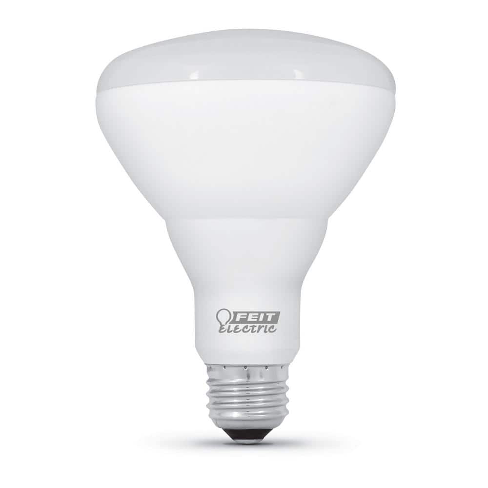 lager skildpadde Krav Feit Electric 65-Watt Equivalent BR30 Dimmable CEC Enhance 90+ CRI LED  Flood Light Bulb, Soft White 2700K (48-Pack) BR30DM927CA10KMP12/4 - The  Home Depot