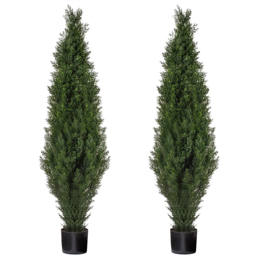 FOREVER LEAF 60 in. Cedar Artificial Boxwood Topiary Tree (2 Pack ...
