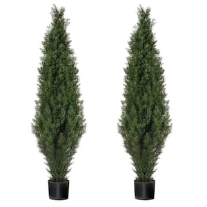 60 in. Artificial Cedar Topiary Trees in Black Planter - Perfect for Outdoor and Indoor Use (2 Pack)
