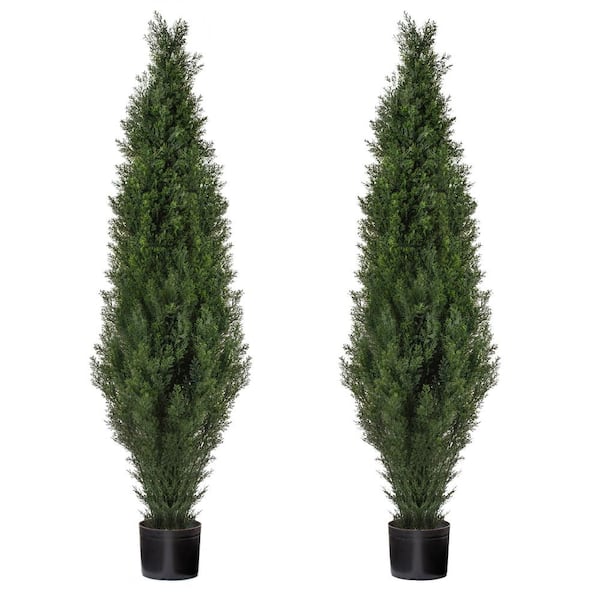 FOREVER LEAF 60 in. Artificial Cedar Topiary Trees in Black Planter - Perfect for Outdoor and Indoor Use (2 Pack)