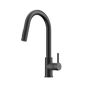 Single-Handle Pull-Down Sprayer Kitchen Faucet with Dual Function in Matte Black
