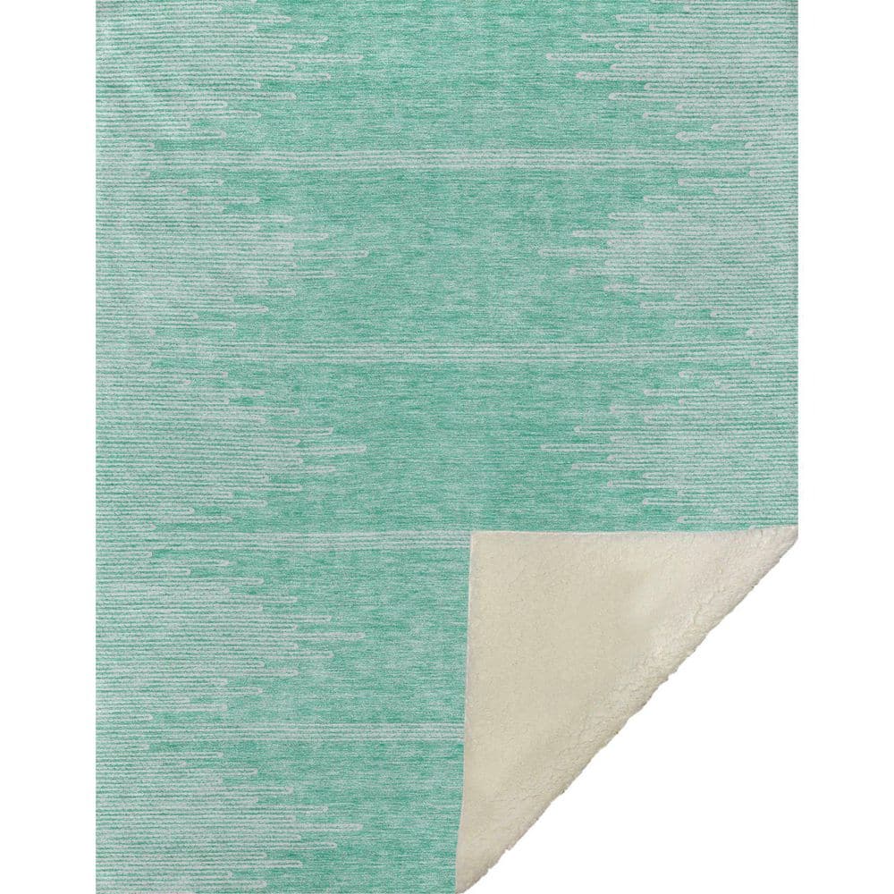 Premium Machine Washable ASB647 Teal 50 in. x 70 in. Sherpa Throw Blanket price history on PriceWatchPro