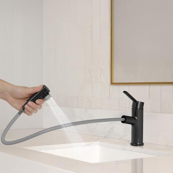 1-Handle Pull-Out Single Hole Bathroom Faucet with 2 Water Flow Modes Spot Resistant in Matte Black with Pop-Up Drain