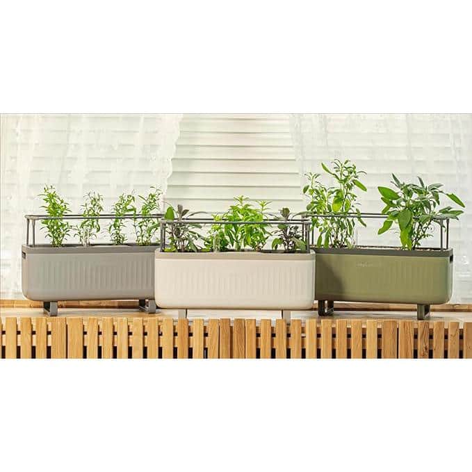 Sage Green Self-Watering Herb Planter Box with Trellis
