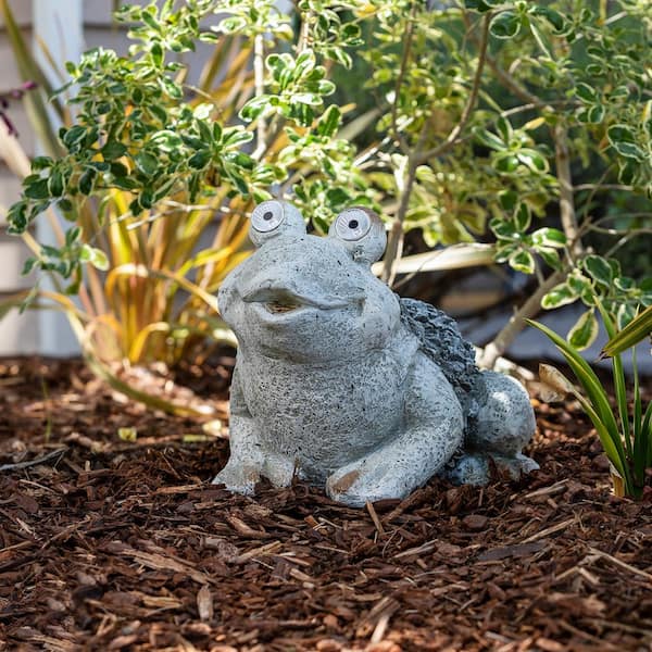 12 in. Tall Outdoor Solar Powered Frog Yard Statue with LED Lights, Gray