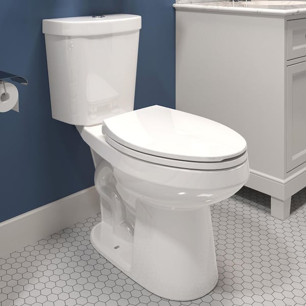 17in. ADA Chair Height 2-piece 1.1/1.6GPF Dual Flush Elongated Toilet in White Map Flush 1000g, Soft-Close Seat Included