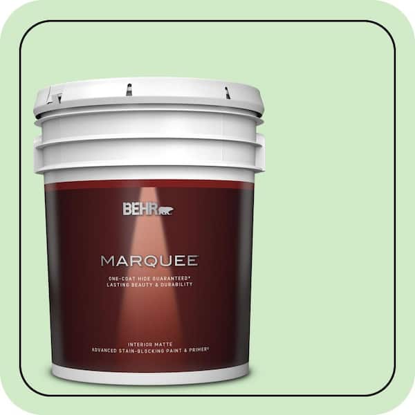 BEHR MARQUEE 5 gal. #440A-3 Mint Frappe Matte Interior Paint & Primer