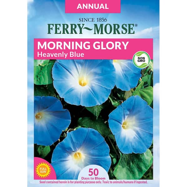 Ferry-Morse Morning Glory Heavenly Blue Flower Seed