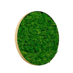 Delicate Iron Metal Frame Green Round Framed Moss Wall Decor Metal Work Fusion of Nature and Art, Only The Large Piece