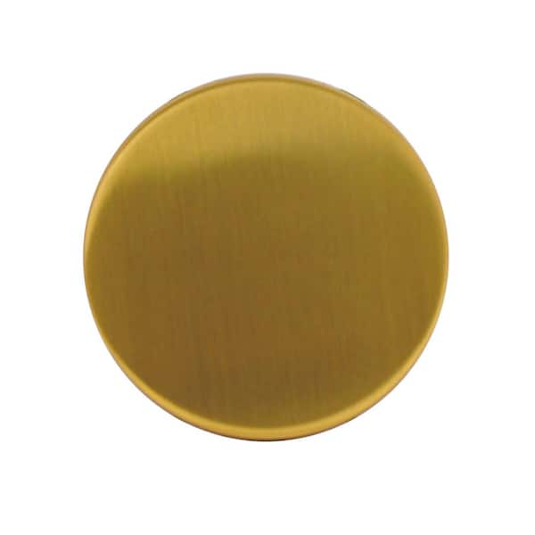 ⭐︎ぽぽん⭐︎DECORTE Pore BD Westbrass Illusionary Overflow Faceplate Cover, Polished
