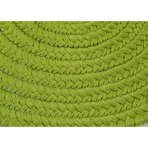 Trends Limelight 2 ft. x 3 ft. Oval Braided Area Rug