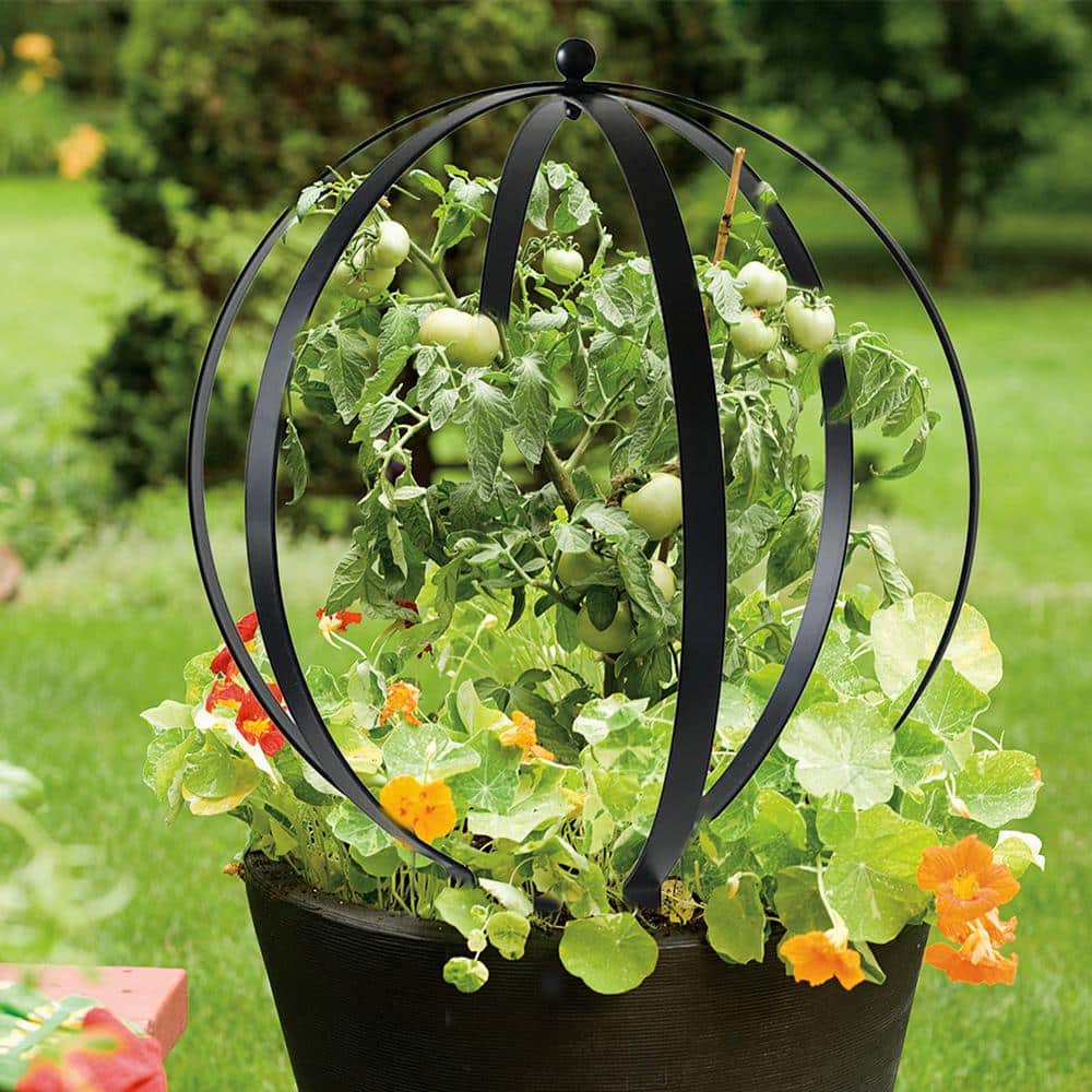 Small Black Metal Orb Garden Trellis, 19.5" Height