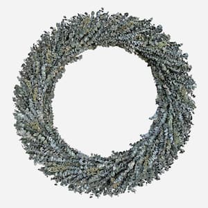 50 in. Non Artificial Preserved Eucalyptus Leaves Wreath