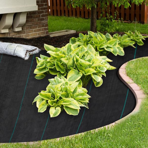 5 x 250 ft. Weed Barrier Landscape Fabric, 5 oz. Heavy Duty Woven Ground Cover, Dual-Layer PP Material, Black
