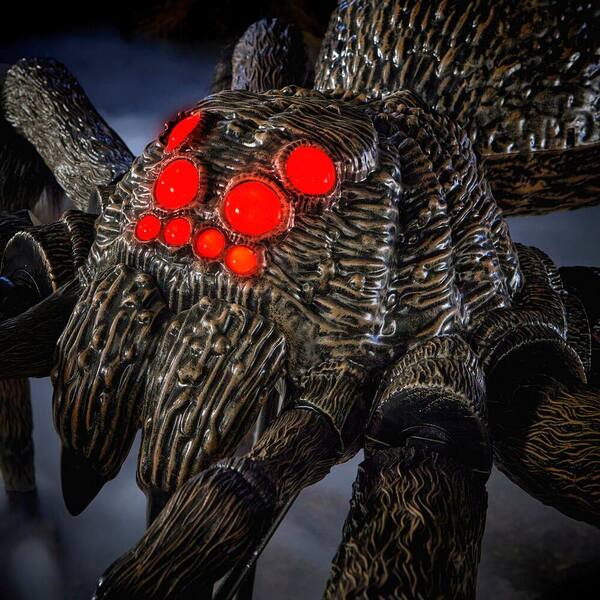Buy 8 ft. Colossal Graveyard Spider Online at Lowest Price in India
