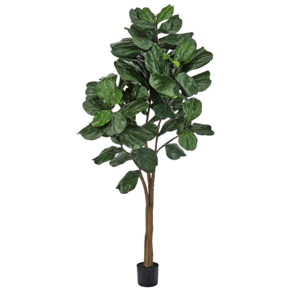 Regency Trees Regency International 7' Uv Potted Fiddle Leaf Fig Tree MTF24626-TTGR ...