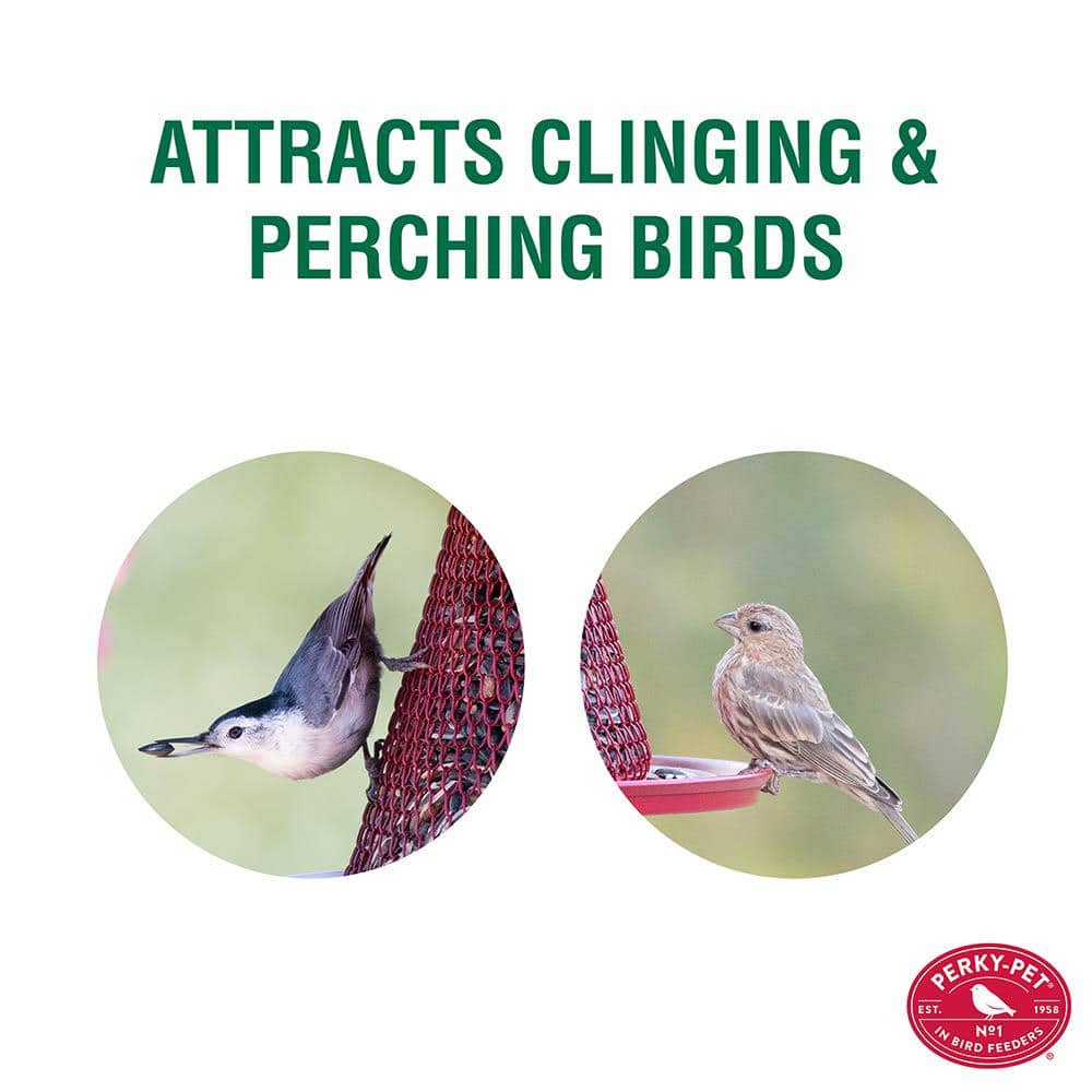 Red Metal Hanging Bird Feeder with Mesh Design