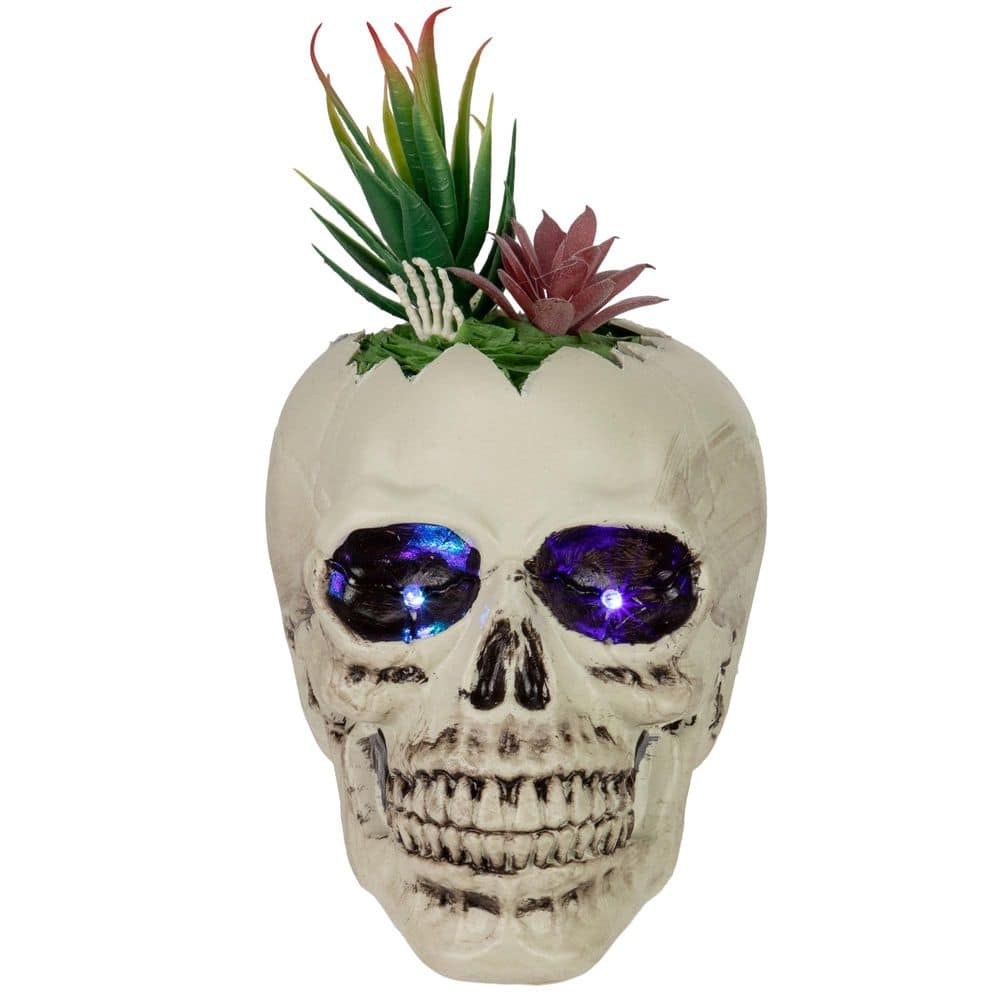 "LED Lighted Succulent Halloween Skull Planter-8.75""" price history on PriceWatchPro