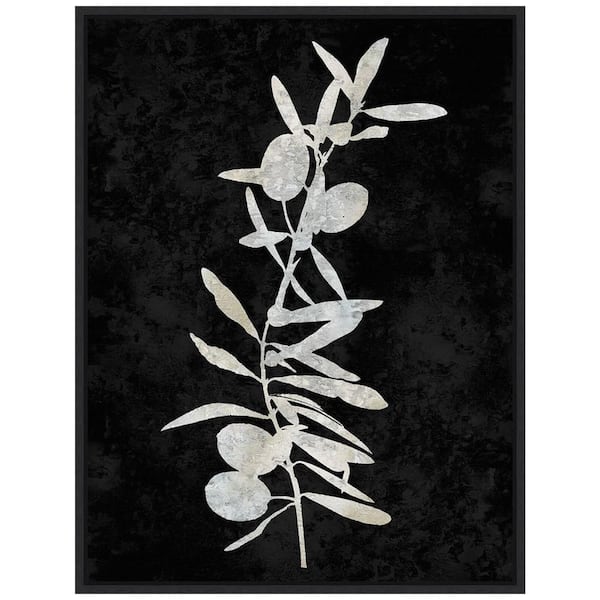 Amanti Art "Plant Life White on Black IV" 1-Piece Floater Frame Canvas Transfer Nature Art Print 24 in. x 18 in.