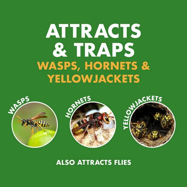 Spectracide Wasp, Hornet and Yellow Jacket Canister Insect Trap