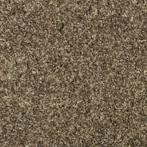 8 in. x 8 in. Texture Carpet Sample - Barx I -Color Desert Sun