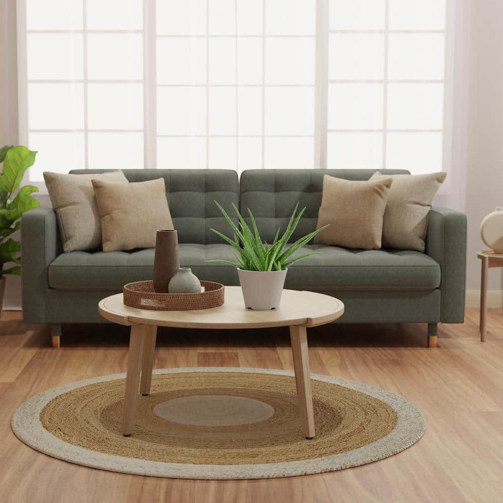 Large Aloe Vera Succulent in Beige Plastic Pot