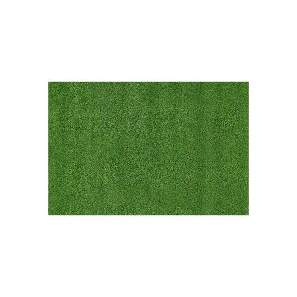 Indoor/Outdoor Artificial Grass Area Rug, Dense Synthetic Turf for Patio, Deck & High-Traffic Areas 2'3" x 4'