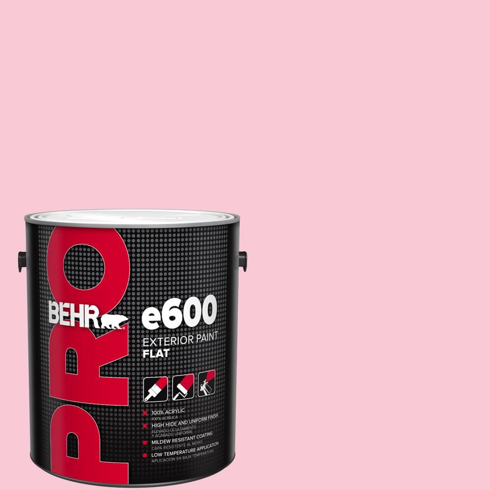 1 gal. #110A-3 Palace Rose Flat Paint price history on PriceWatchPro