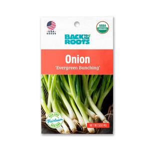 Organic Evergreen Bunching Onion Seed (1-Pack)