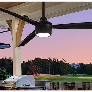 Skinnie 56 in. LED Indoor/Outdoor Coal Ceiling Fan with Light and Remote Control