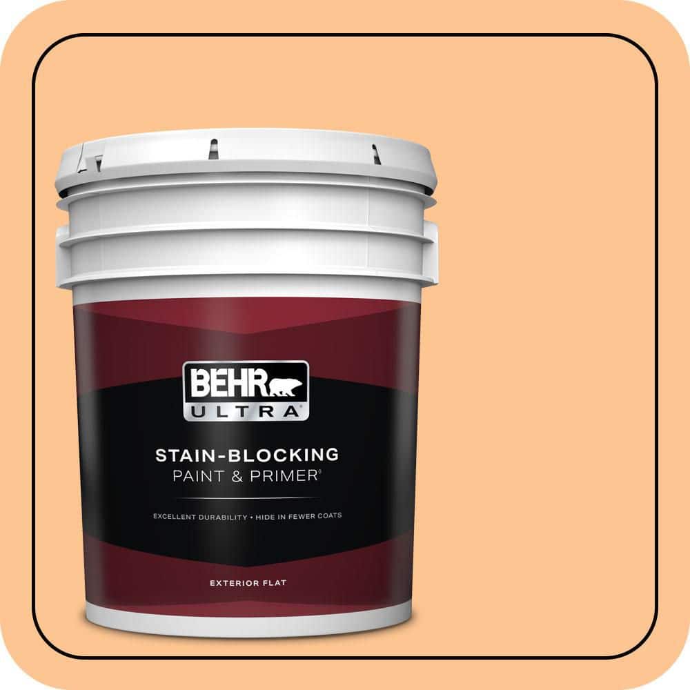 5 gal. #P220-4 Dainty Apricot Flat Exterior Paint & Primer price history on PriceWatchPro