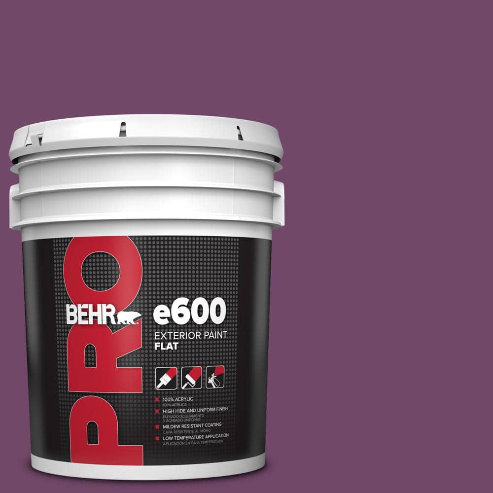 5 gal. #S-G-680 Raspberry Mousse Flat Exterior Paint price history on PriceWatchPro