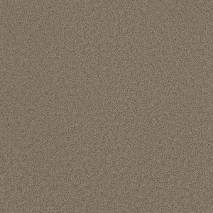 Added Value - Accent - Beige 24 oz. SD Polyester Texture Installed Carpet