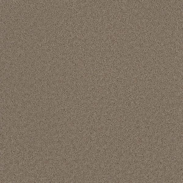 TrafficMaster Added Value - Accent - Beige 24 oz. SD Polyester Texture Installed Carpet